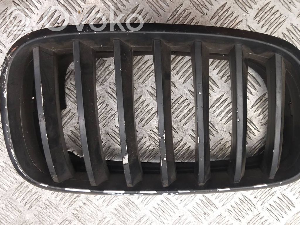 BMW X5 E70 Front bumper upper radiator grill 