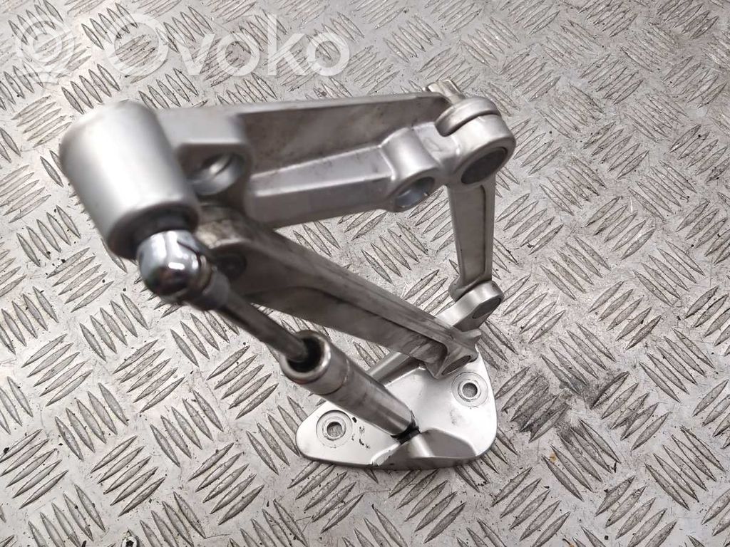 Volkswagen Phaeton Tailgate/trunk/boot hinge 