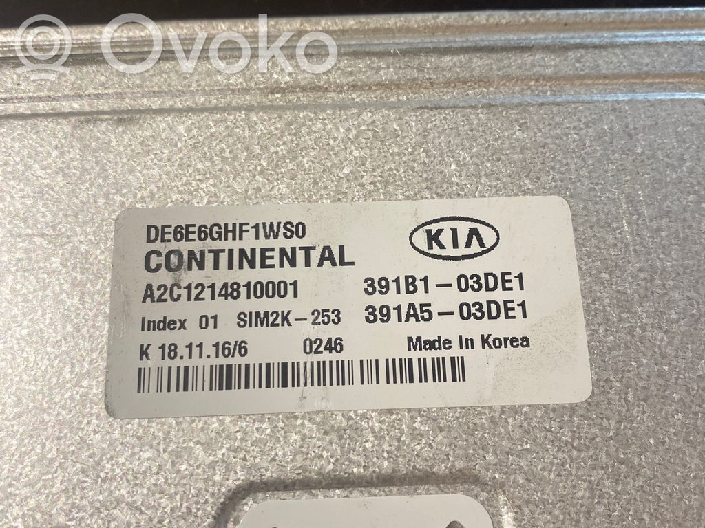 KIA Niro Other control units/modules 