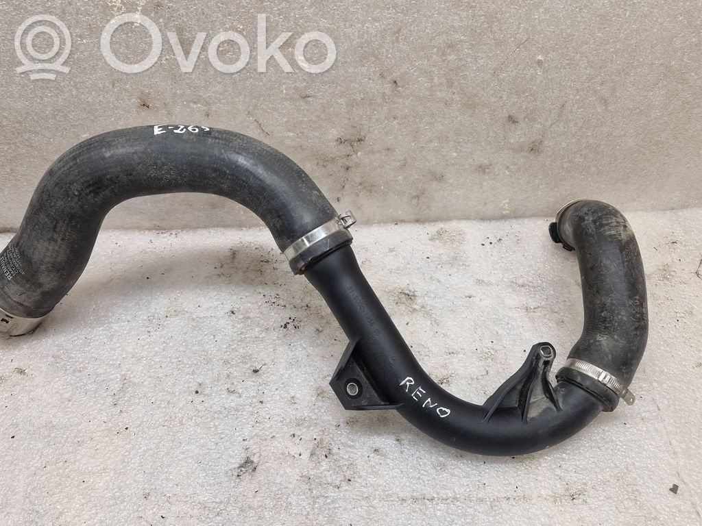 Renault Clio V Intercooler hose/pipe 