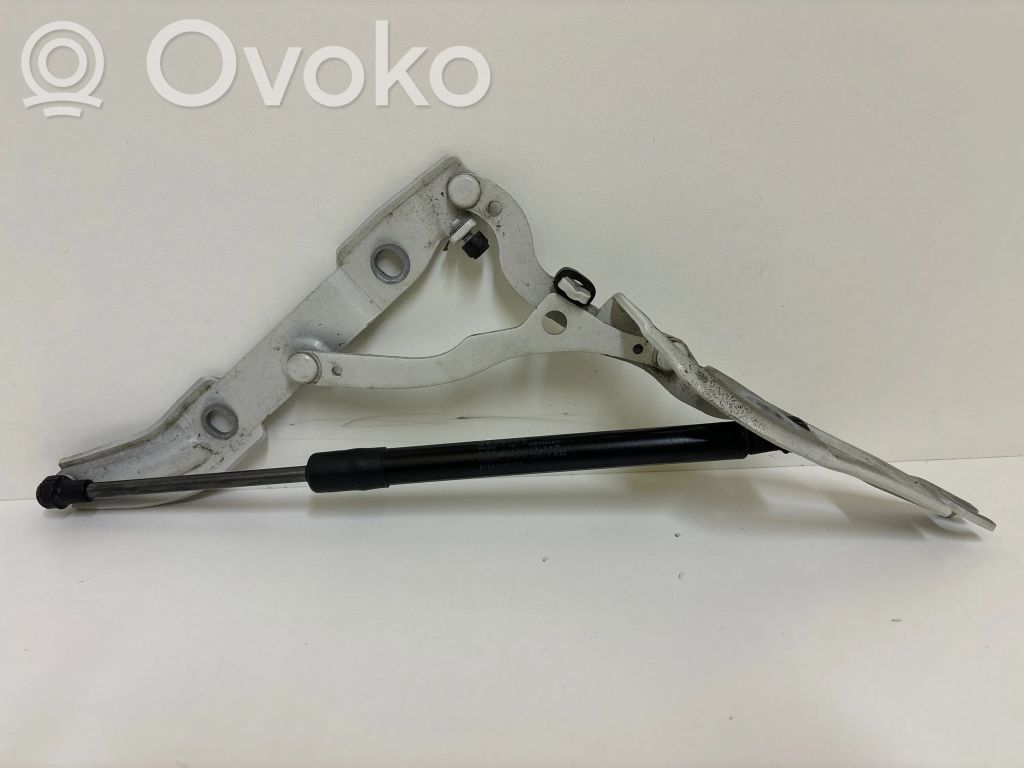 BMW 1 E82 E88 Tailgate/trunk/boot hinge 