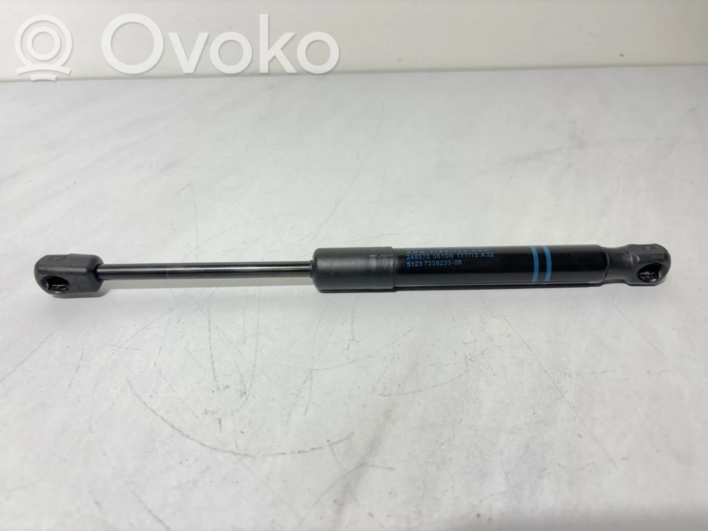 BMW 1 F20 F21 Front bonnet/hood damper/strut 