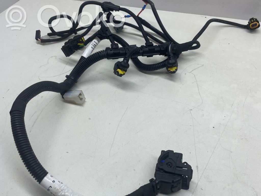 Ligier JS 50 Wiring harness 