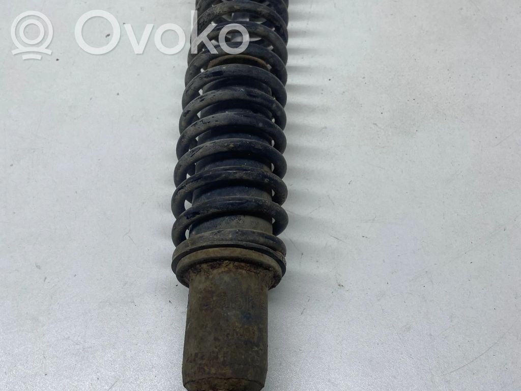 Stoßdämpfer hinten
