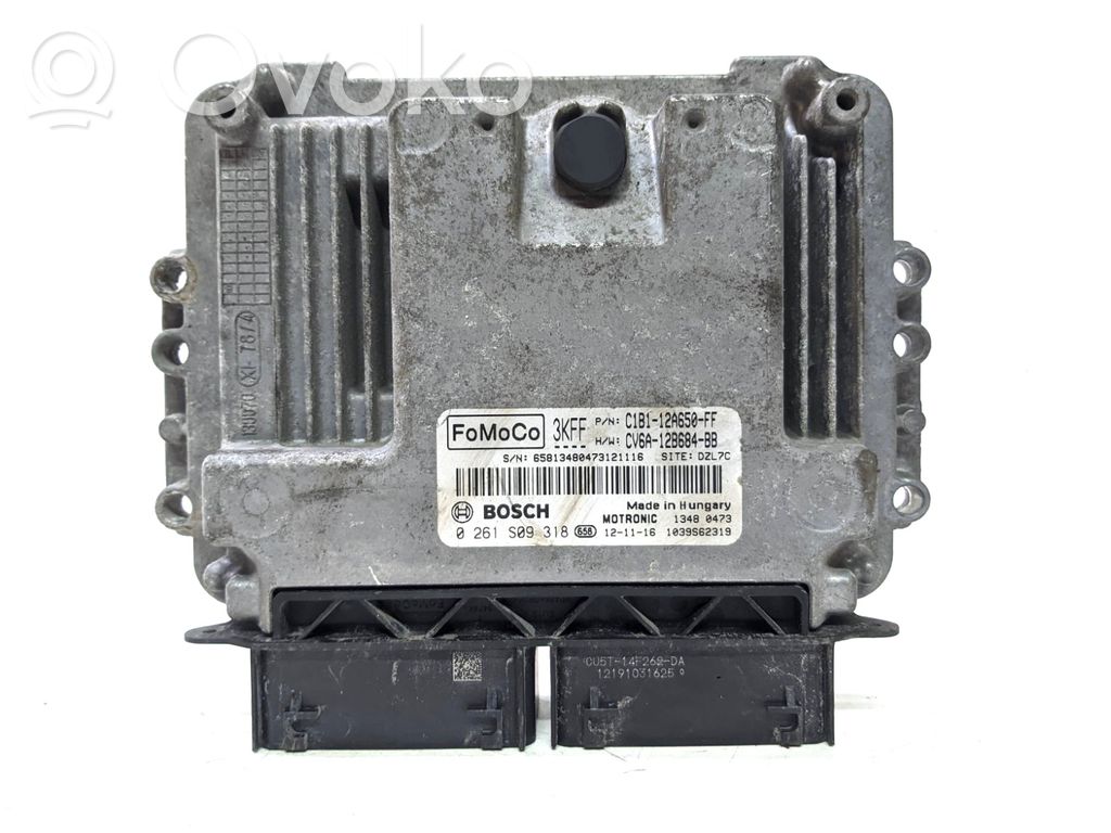 Engine control unit/module   C1B112A650FF,CV6A12B684BB