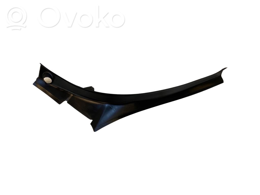 Tesla Model X Tailgate trim 