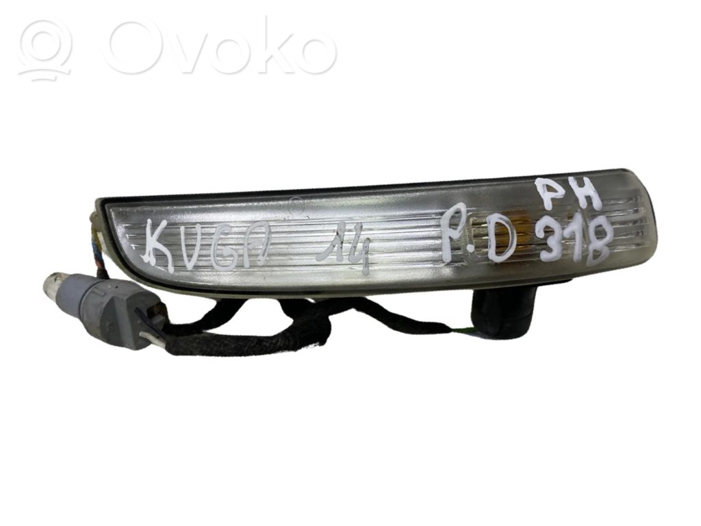 Ford Kuga II Mirror indicator light 