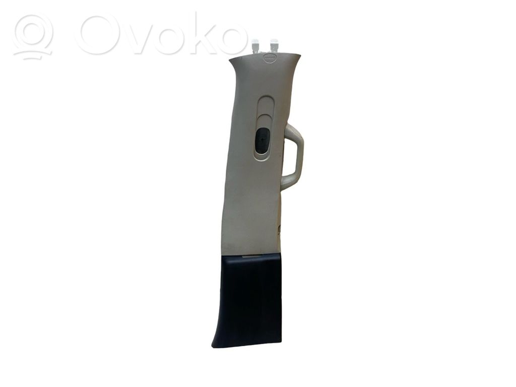 Chrysler Pacifica (B) pillar trim (top) 