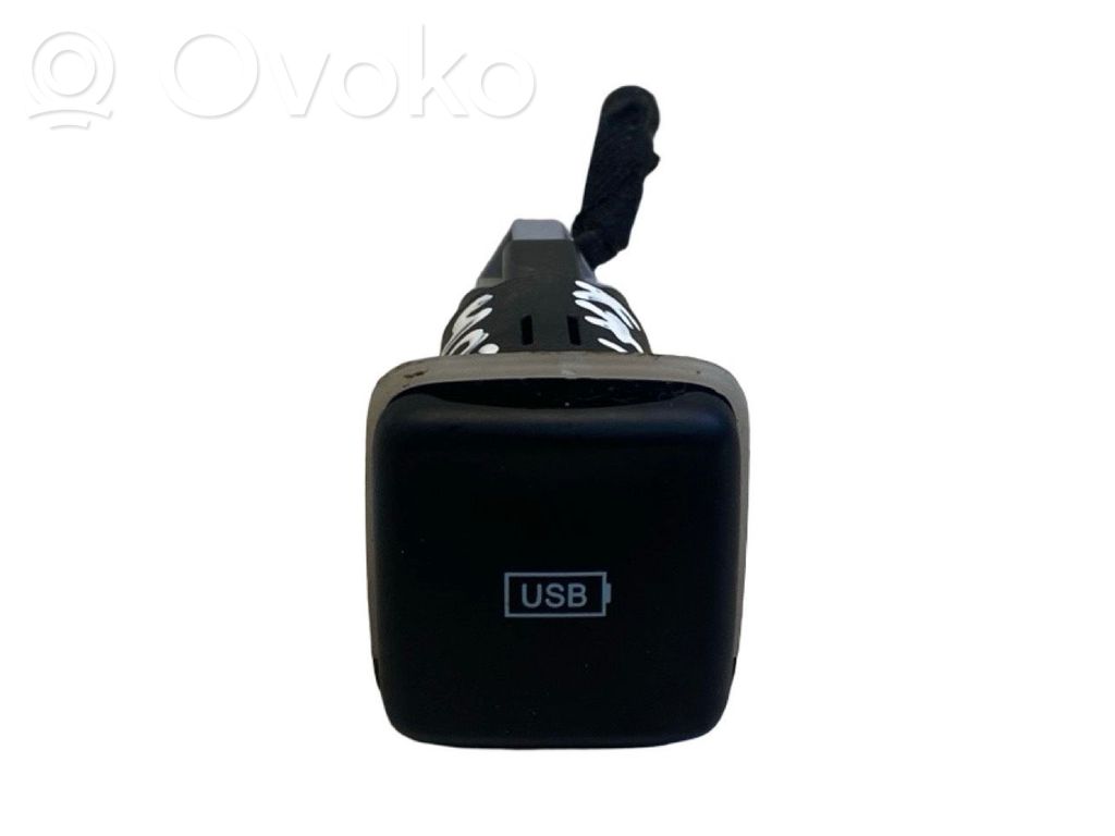 Chrysler Pacifica USB jungtis 