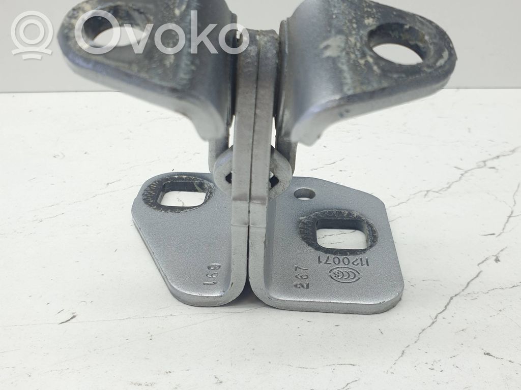 Tesla Model S Rear door lower hinge 
