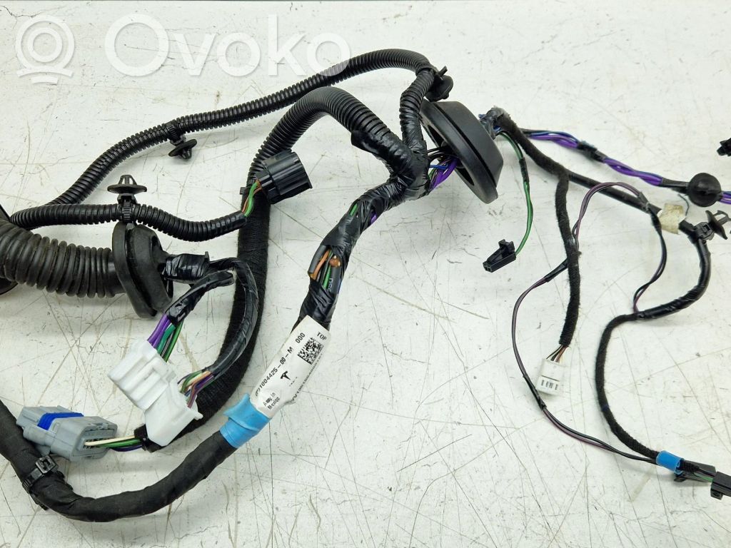 Tesla Model S Cableado de puerta trasera 