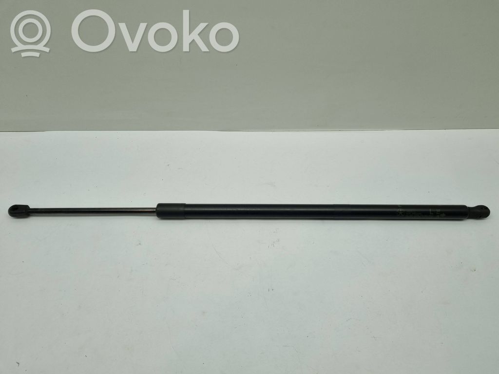 Chrysler Pacifica Tailgate/trunk strut/damper 