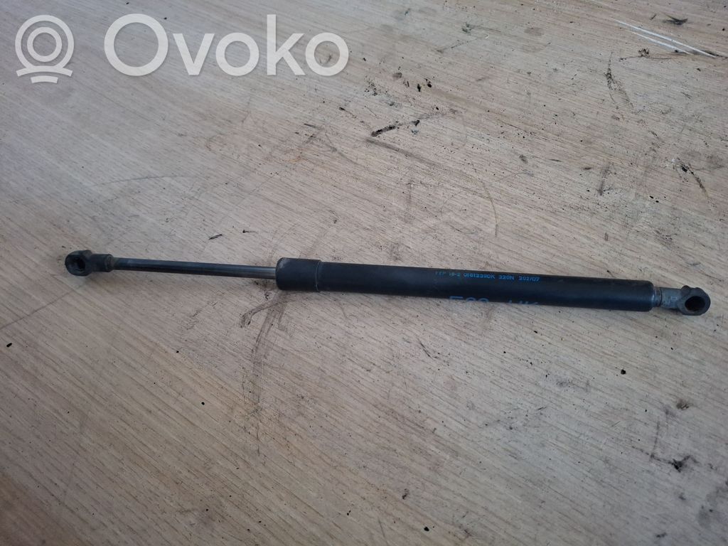 Vérin de capot arrière   7060623