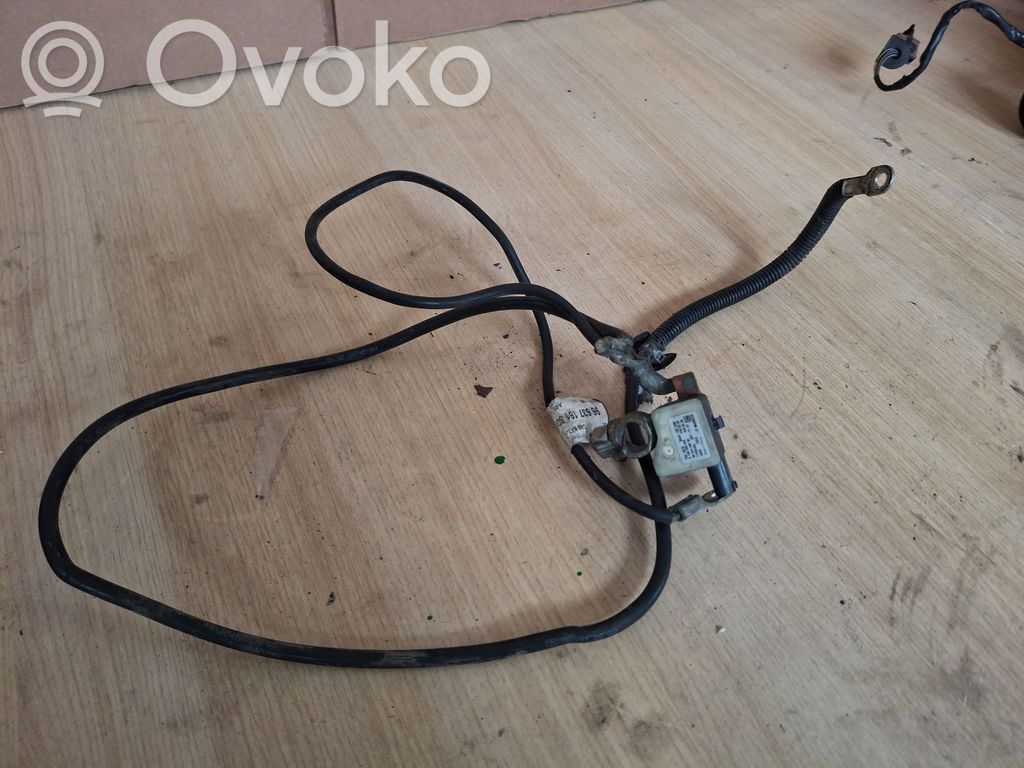 Peugeot 407 Cable negativo de tierra (batería) 