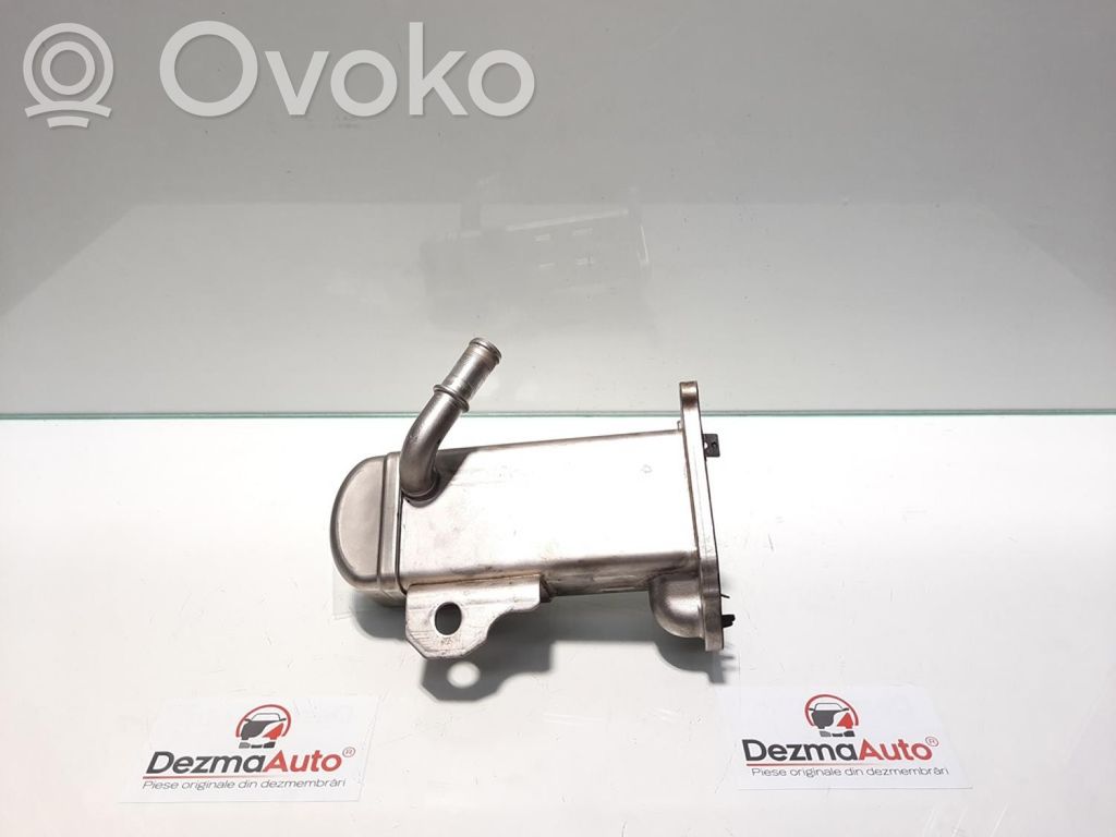 Ford Kuga II EGR valve cooler
