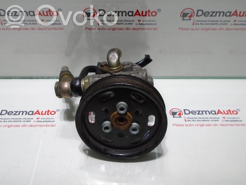 Volkswagen Bora Pompa servosterzo 