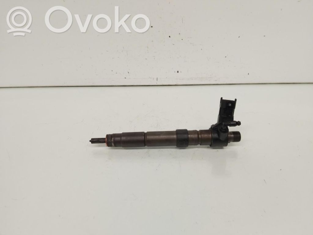 Land Rover Range Rover Evoque L538 Injector combustibil 