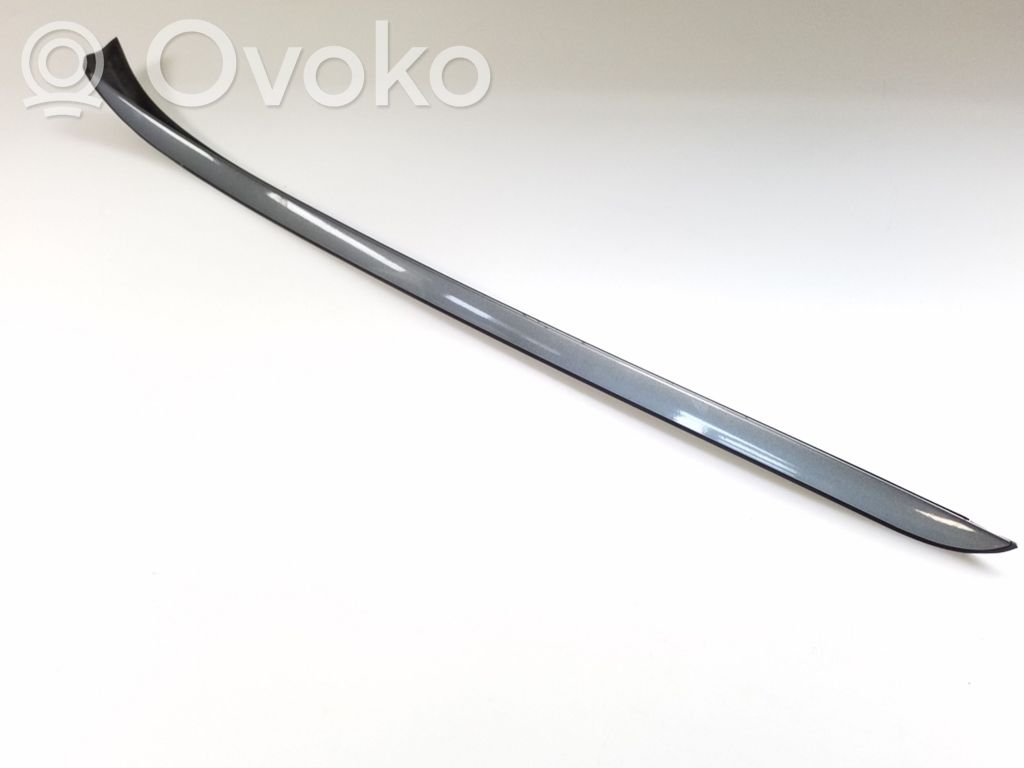 Windshield trim   7184001