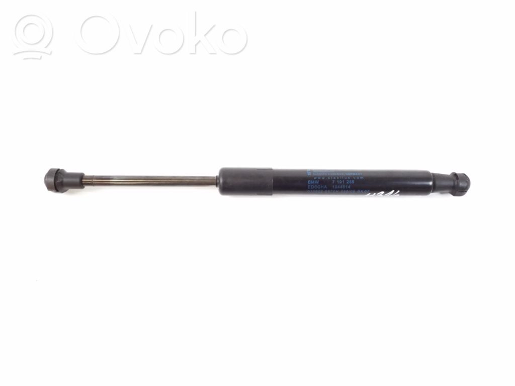BMW Z4 E89 Tailgate strut 
