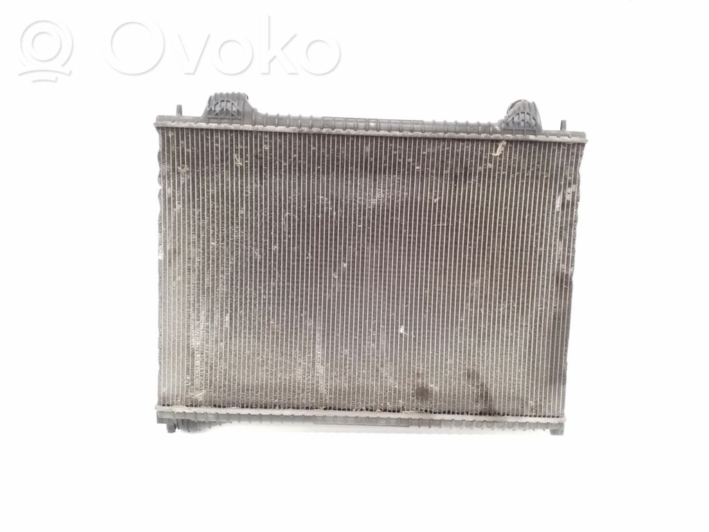 Jaguar F-Pace Radiator lichid răcire 