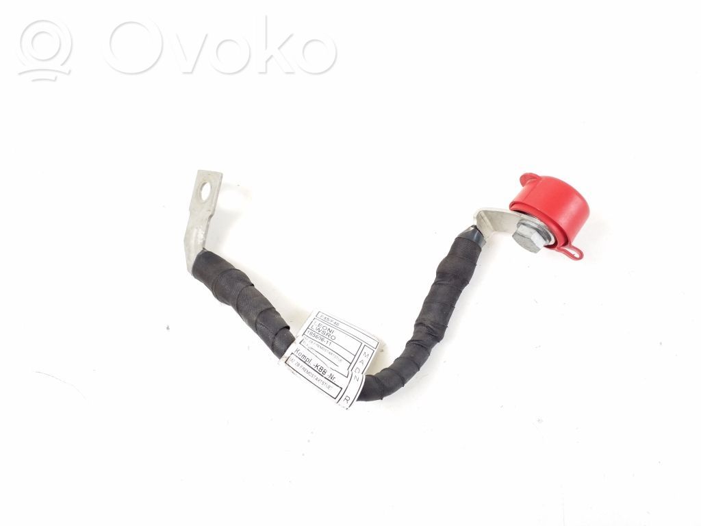 BMW 2 F45 Cable positivo (batería) 