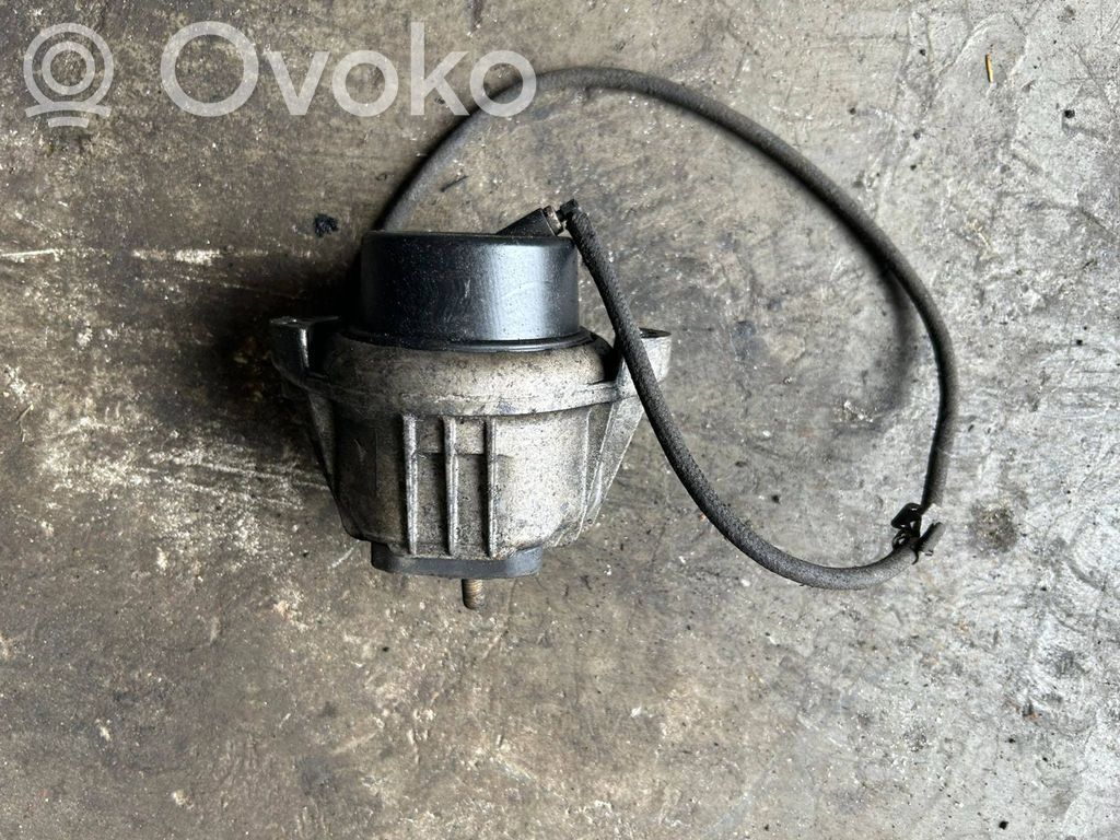 Dzinēja spilvens   13981112