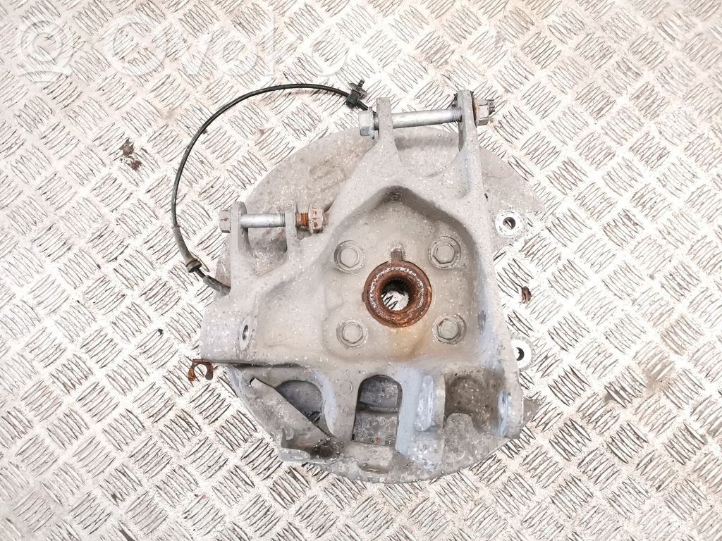 Galinė stebulė   102741100D