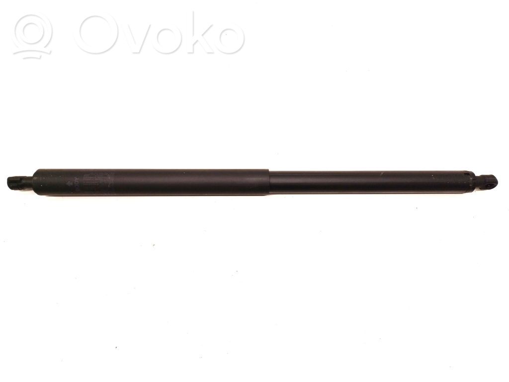 Tesla Model Y Tailgate strut 