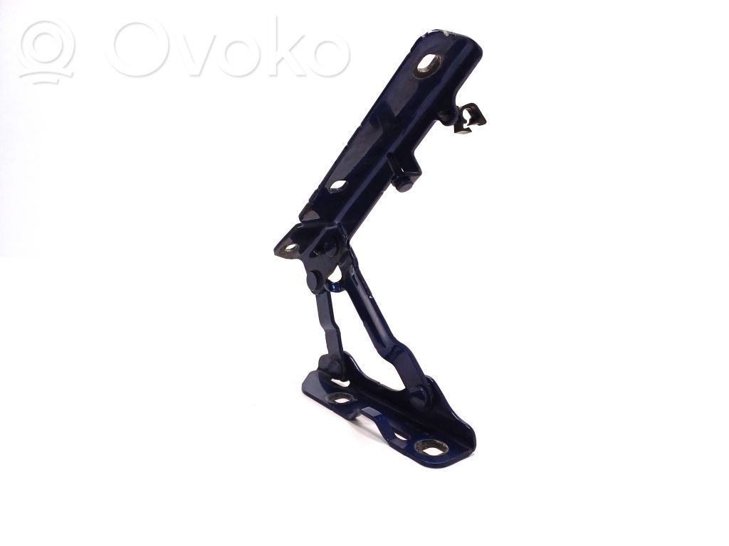 Tesla Model S Engine bonnet/hood hinges 