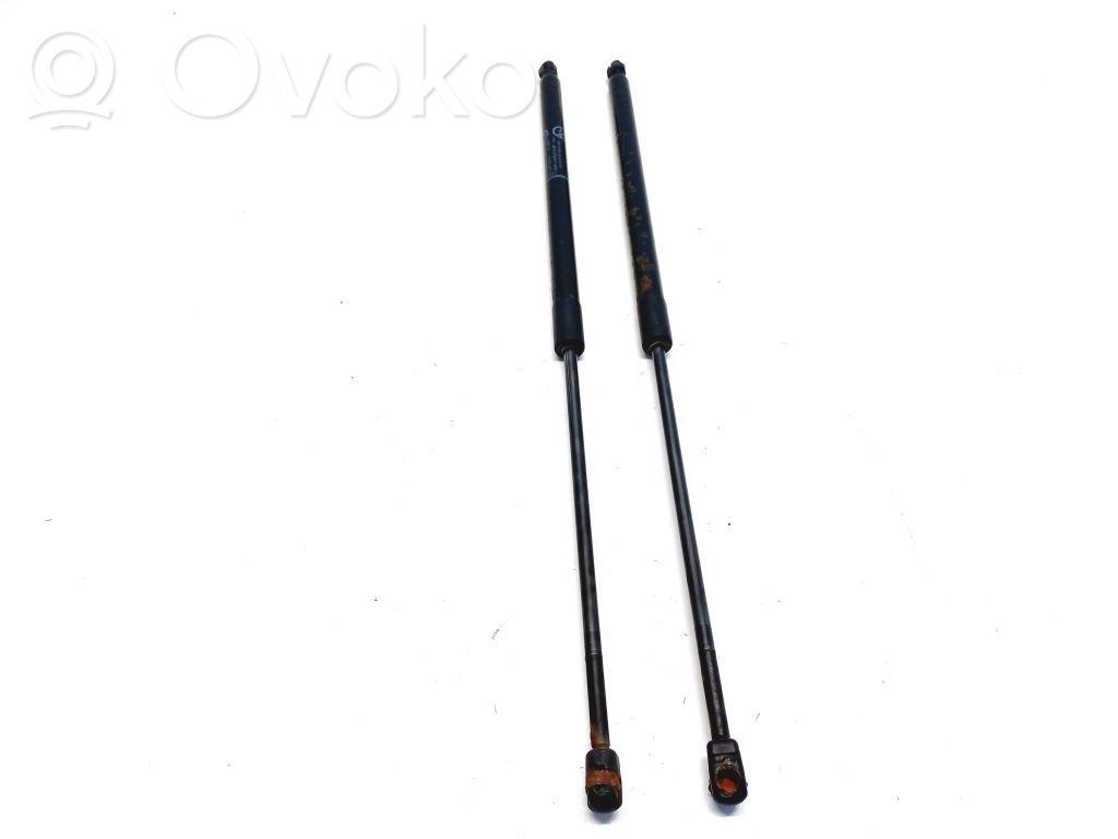 Ford C-MAX II Tailgate strut 
