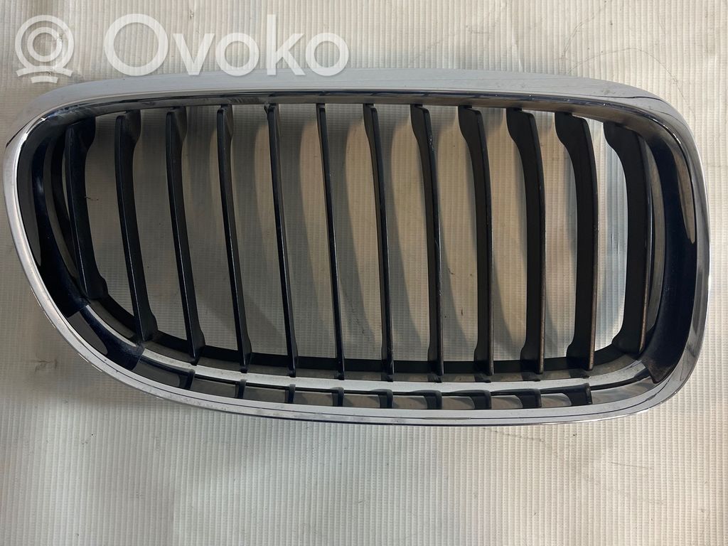 Front grill   7201968,22405910