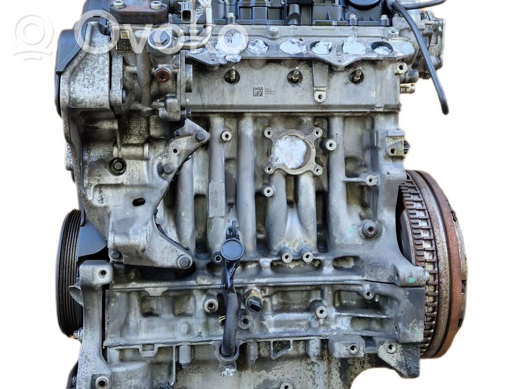 Variklis   D4204T5