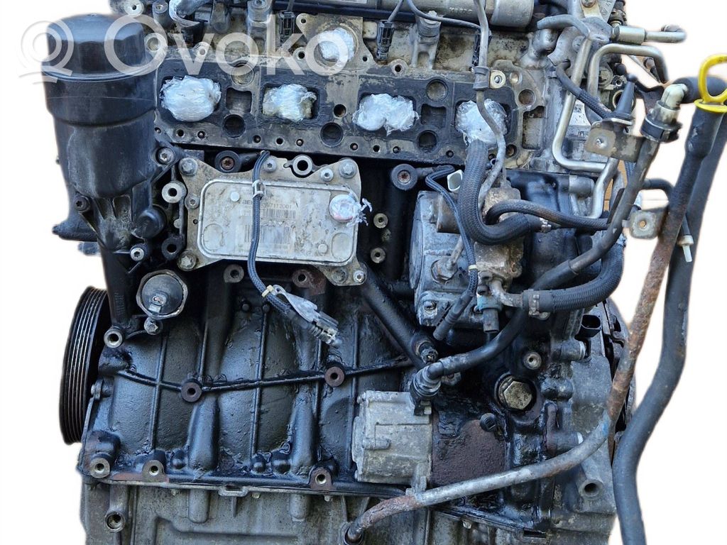Motor   651925