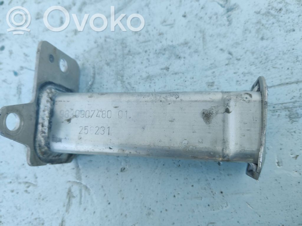 Odbój / Amortyzator zderzaka przedniego   9830907480,256231