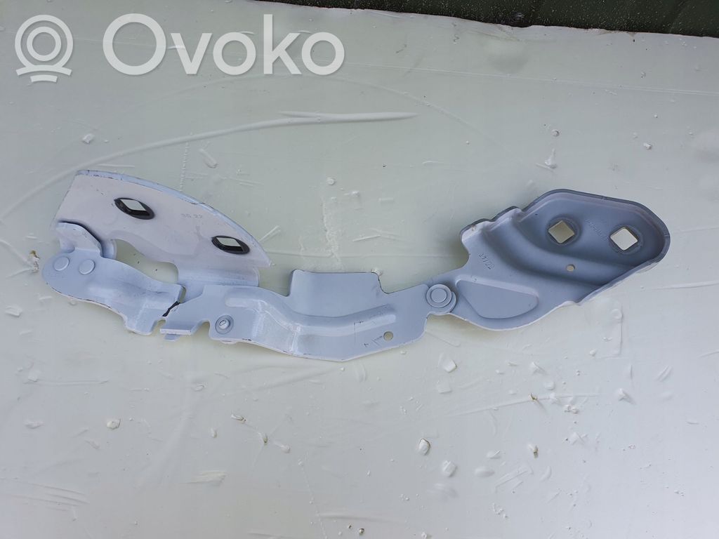 Tesla Model 3 Engine bonnet/hood hinges 