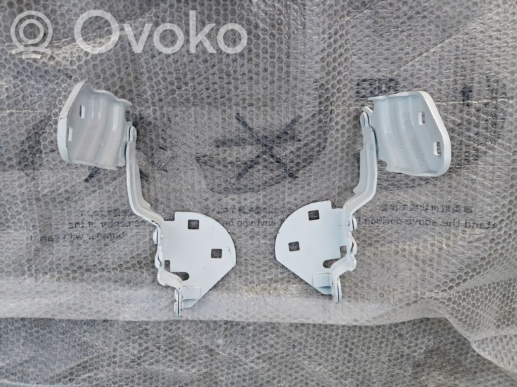 Tesla Model 3 Engine bonnet/hood hinges 