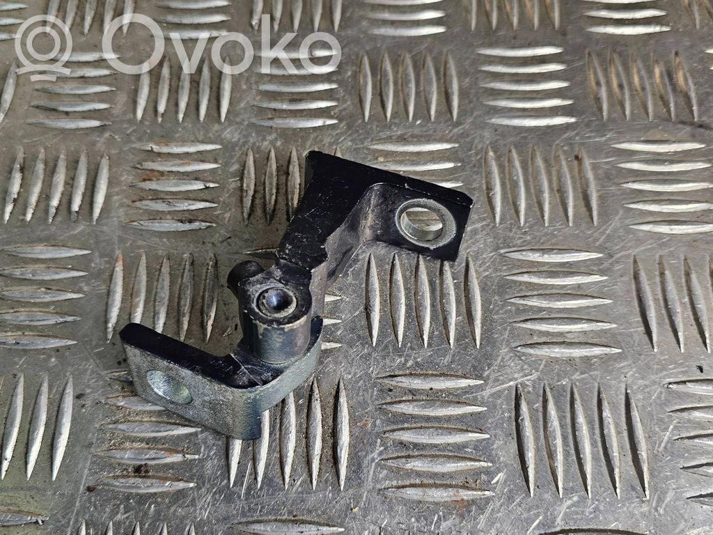 Volkswagen PASSAT B8 Cerniera inferiore della portiera posteriore 