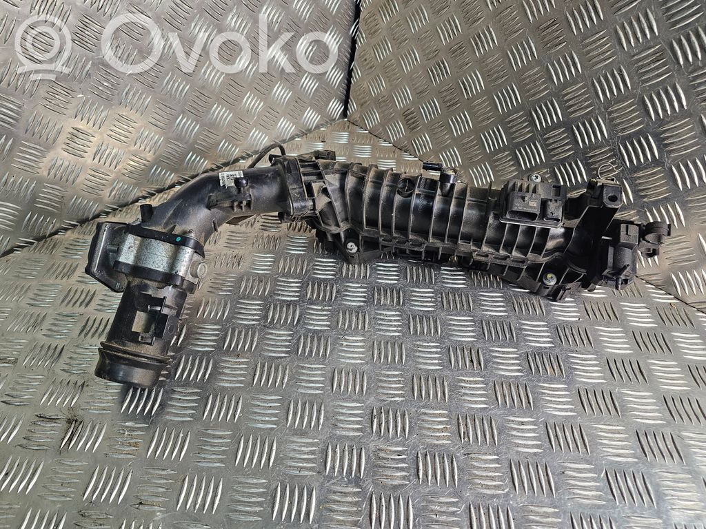 Kolektorius įsiurbimo   108452S10
