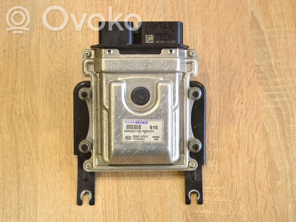 Engine control unit/module   9544147615