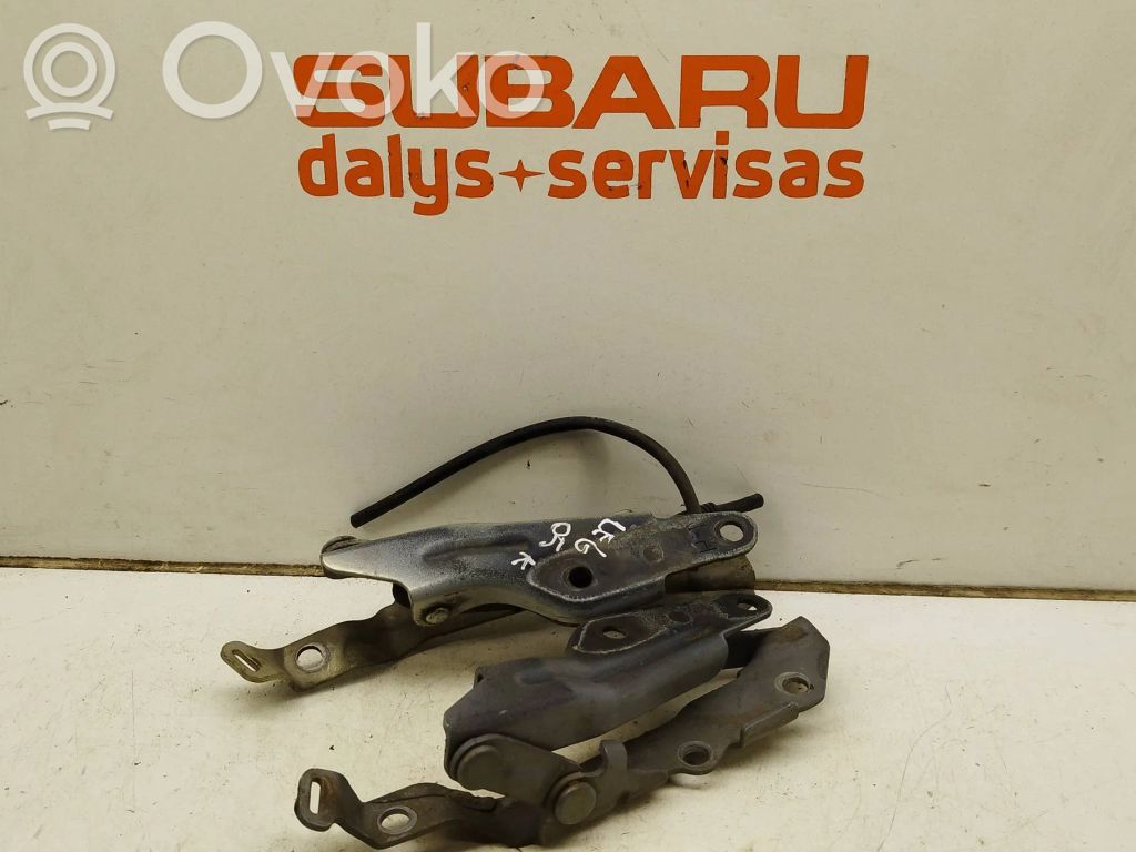 Engine bonnet/hood hinges