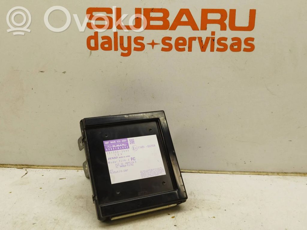 Subaru Outback (BS) Other control units/modules 