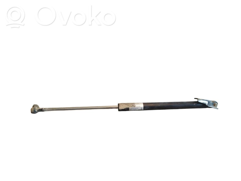 Tailgate/trunk strut/damper