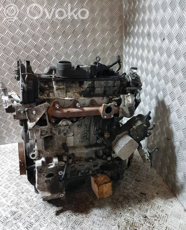 Motore   T1DB