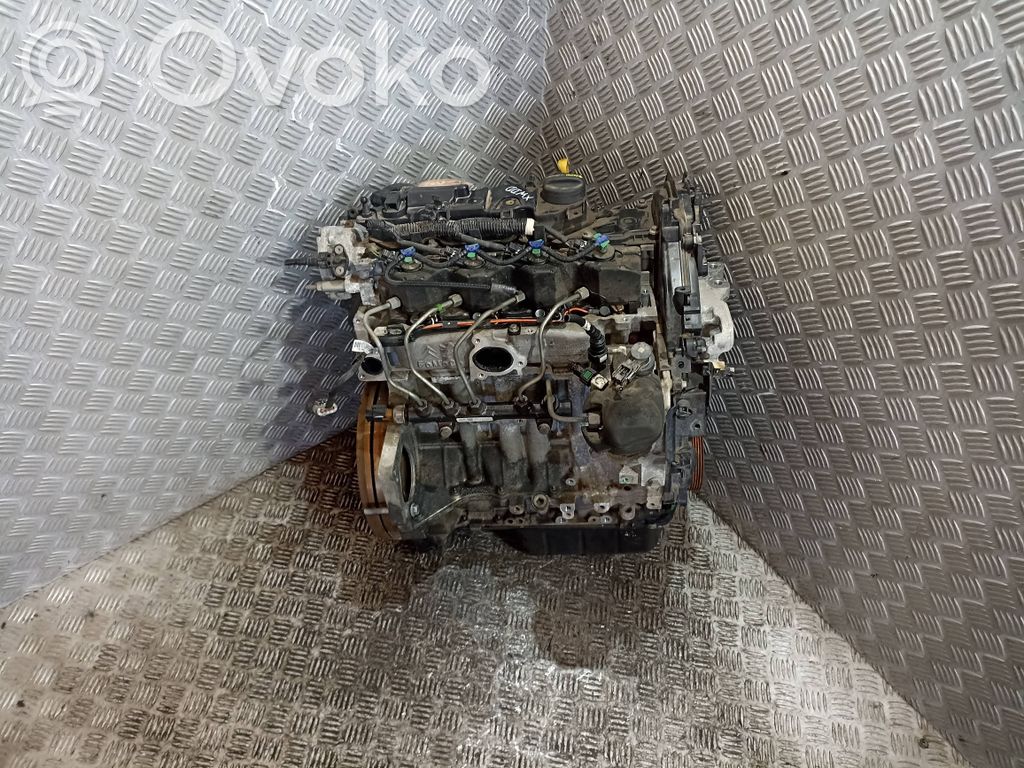 Ford Focus Motor 