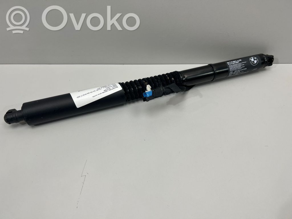 Tailgate strut   7397322,18202210