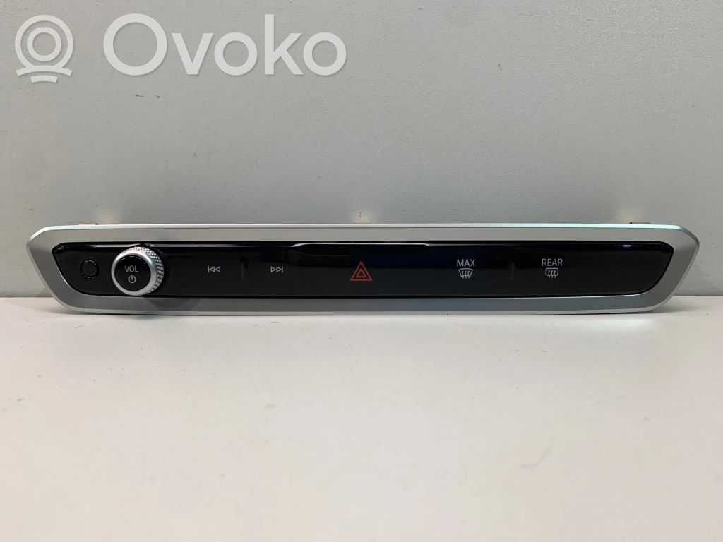 BMW XM Head unit multimedia control 
