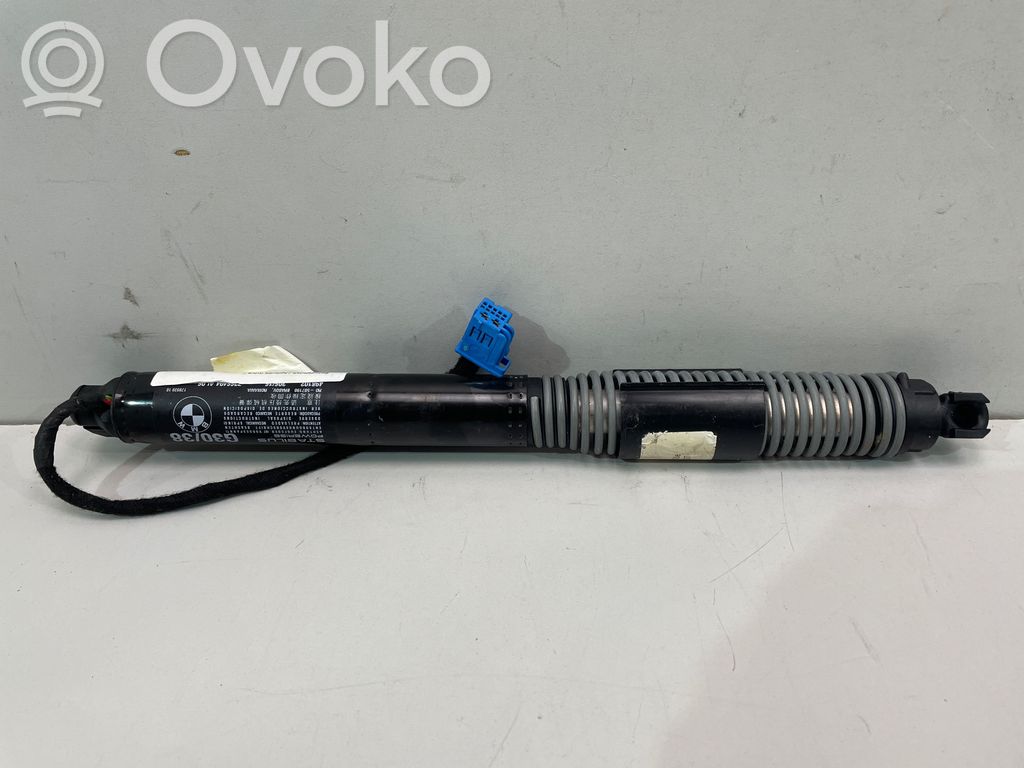 BMW 5 G30 G31 G38 Puntone del portellone posteriore 