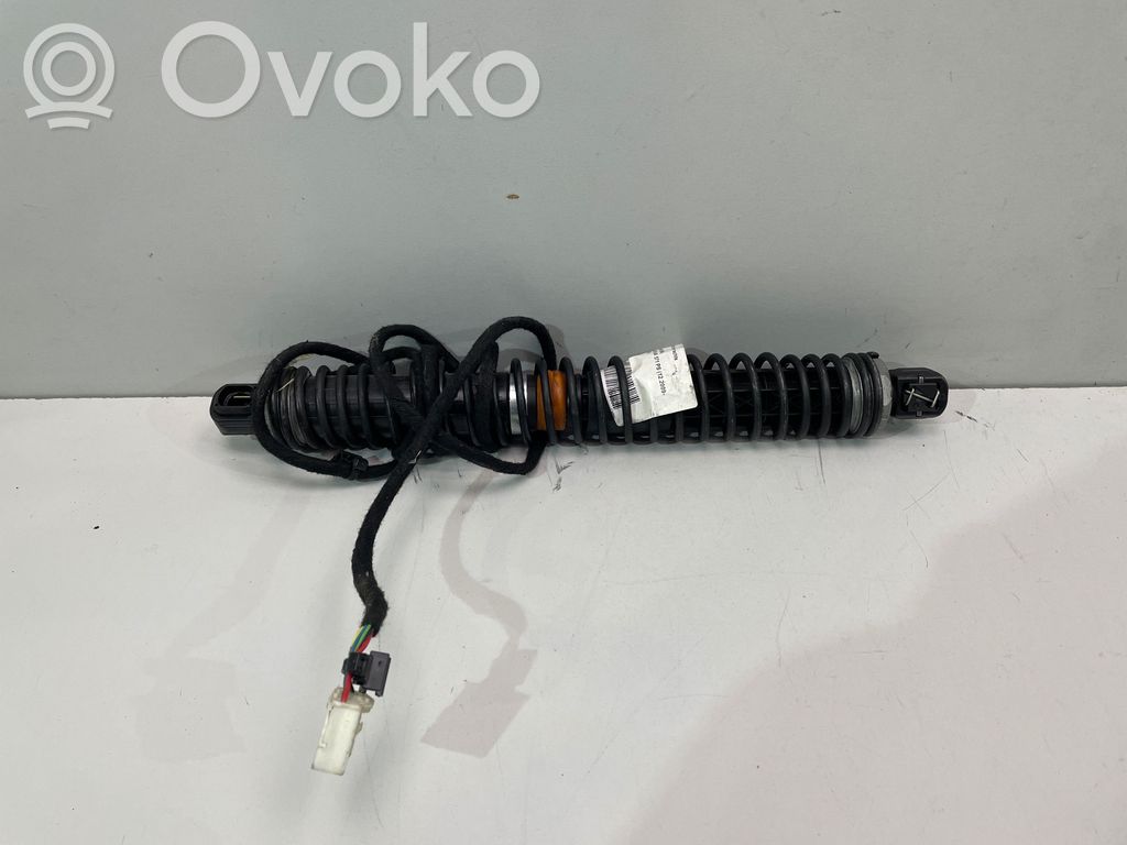 Tailgate strut   7198554
