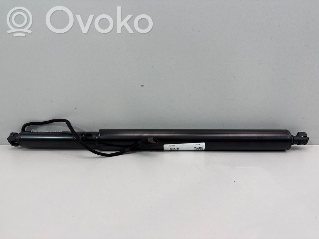 Tailgate/trunk strut/damper   7954153