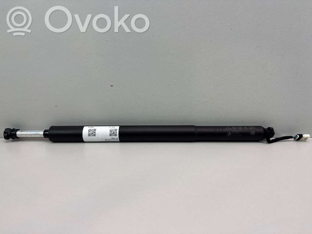 Tailgate strut   5A2FBE5